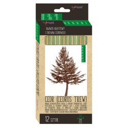 Ołówki z drewna cedrowego MIX (HB do 2H), 12 sztuk, CedrLove