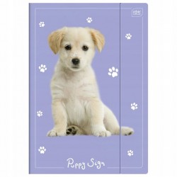 TECZKA Z GUMKĄ A4+ LUX UV PUPPY INTERDRUK