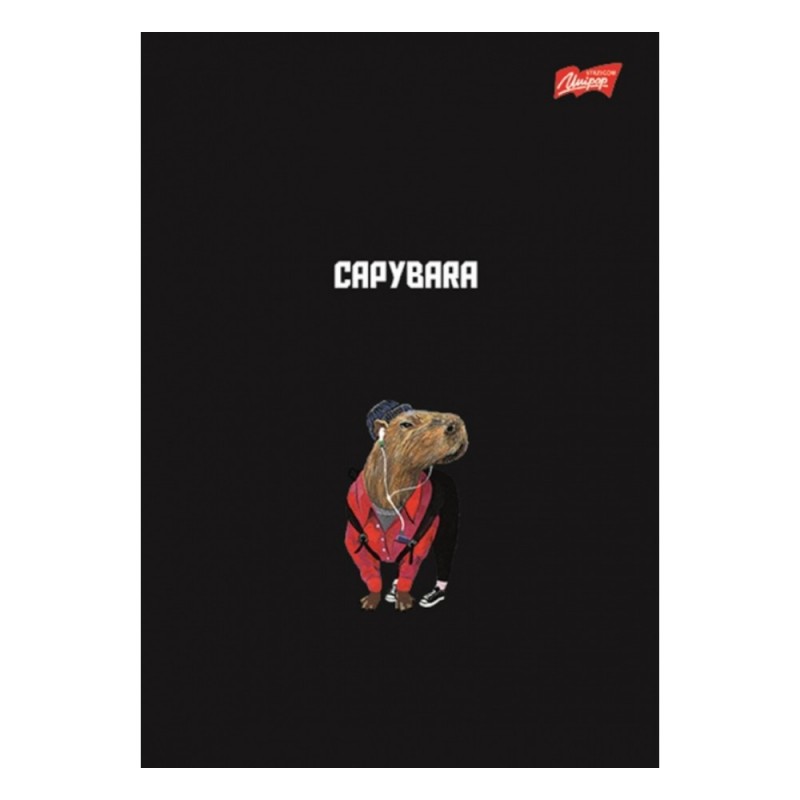 Zeszyt szkolny A5 w kratkę CAPYBARA mix 60 kartek kratka kapibara Unipap