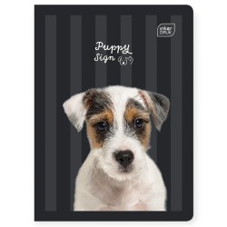 Zeszyt szkolny A5/32k kratka Puppy Sign kot pies Interdruk