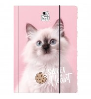 TECZKA szkolna z GUMKĄ A4 CLEO I FRANK KOTEK dla DZIEWCZYNKI