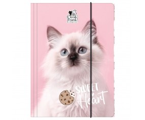 TECZKA szkolna z GUMKĄ A4 CLEO I FRANK KOTEK dla DZIEWCZYNKI