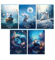 Zestaw 5 sztuk zeszyt 16 kartek dwulinia kolorowa WONDERLAND