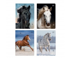 Zeszyt A5 16 kartek w trzylinię kolorową Horses KONIE 1 szt. MIX Interdruk