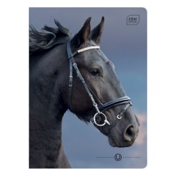 Zeszyt A5 16 kartek w kratkę 1 szt. MIX KONIE Wild Horses Interdruk