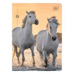 Zeszyt A5 16 kartek w kratkę 1 szt. MIX KONIE Wild Horses Interdruk
