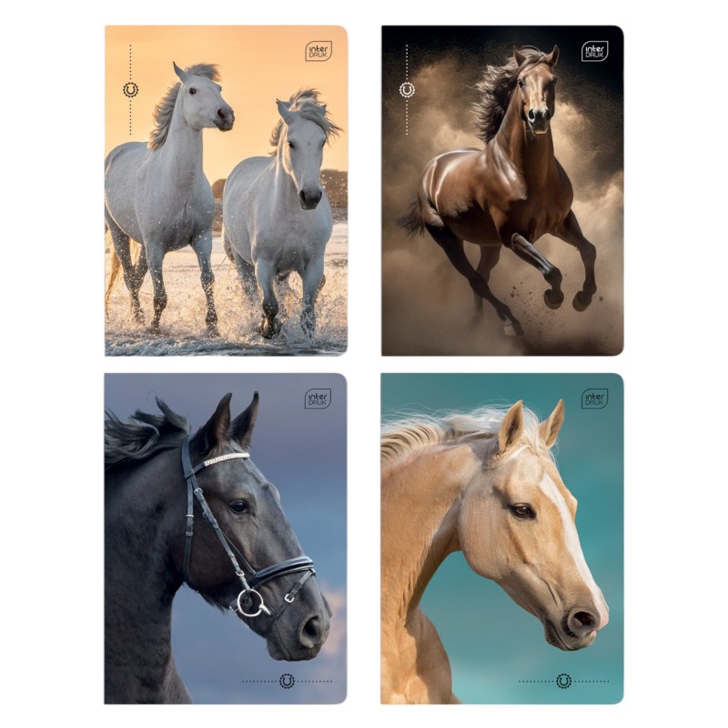Zeszyt A5 16 kartek w kratkę 1 szt. MIX KONIE Wild Horses Interdruk