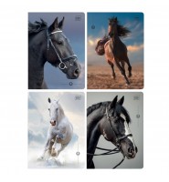 Zeszyt A5 32 kartki w kratkę z marginesem 1 szt. MIX KONIE wild horses Interdruk