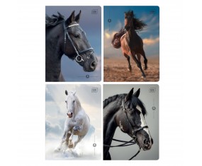 Zeszyt A5 32 kartki w kratkę z marginesem 1 szt. MIX KONIE wild horses Interdruk