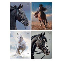 Zeszyt A5 32 kartki w kratkę z marginesem 1 szt. MIX KONIE wild horses Interdruk