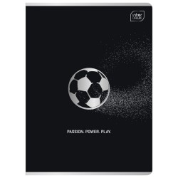 Zeszyt szkolnyA5 60 kartek w kratkę metalic SPORT 1 szt. MIX Interdruk