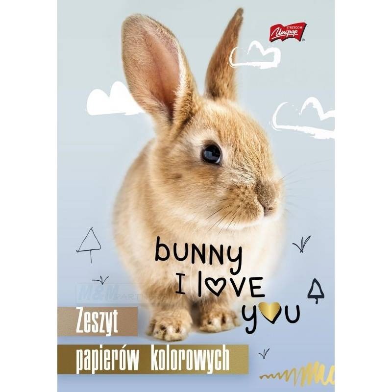 Zeszyt papierów kolorowych, A5, 10 kartek, UNIPAP