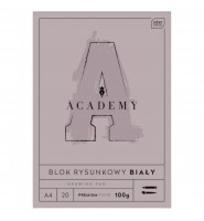 Interdruk Academy blok rysunkowy A4 20 kartek 100 g/m² biały papier premium