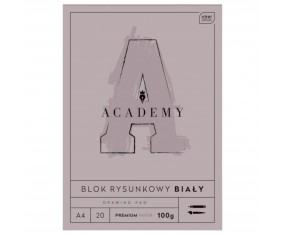 Interdruk Academy blok rysunkowy A4 20 kartek 100 g/m² biały papier premium
