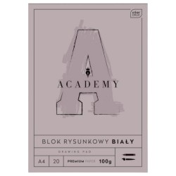 Interdruk Academy blok rysunkowy A4 20 kartek 100 g/m² biały papier premium