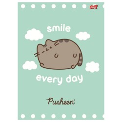 PUSHEEN Zeszyt szkolny A5 w linię podwójną 32 kartki MIX dziewczęcy