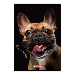 Zeszyt szkolny A5 60 kartek KRATKA Crazy Animal HERLITZ 1 SZTUKA