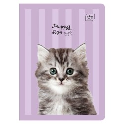 Zeszyt A5 16 kartkowy trzylinia kolorowa pieski kotki UV PUPPY SIGN INTERDRUK - zeszyty szkolne