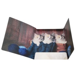 Teczka szkolna A4 z gumką Starpak Cuties KOTKI 1 sztuka