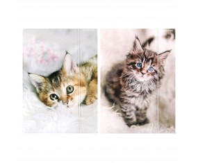 Teczka szkolna A4 z gumką Starpak Cuties KOTKI 1 sztuka