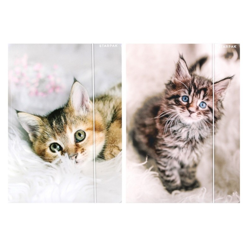 Teczka szkolna A4 z gumką Starpak Cuties KOTKI 1 sztuka