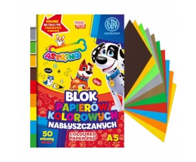 Blok zeszyt papierów kolorowych nabłyszczanych ASTRINO A5 50 arkuszy 10 kolorów