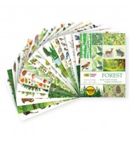 Blok dekoracyjny Happy Color Forest A4 16 ark. papier z 25 motywami lasu