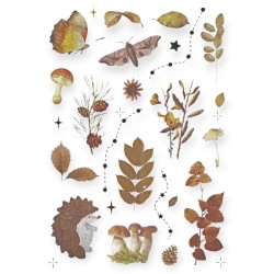 Naklejki foliowe Titanium Craft-Fun JESIEŃ 8 plansz JESIENNE liście grzyby jeże