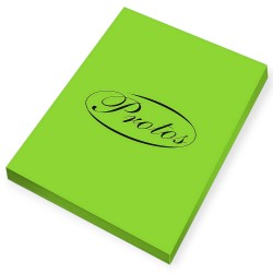 Papier TECHNICZNY kolorowy PROTOS A4 JASNY ZIELONY 160 g 50 ark do drukarek ksero