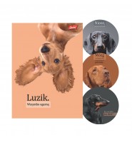 Zeszyt A4 60 kartek KRATKA DOGGY MOODS laminowany UV mix 1 szt