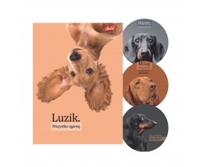 Zeszyt A4 60 kartek KRATKA DOGGY MOODS laminowany UV mix 1 szt