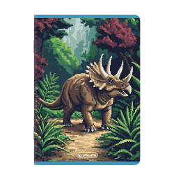 Zestaw 5x zeszyt szkolny A5 32 kartki TRZYLINIA KOLOROWA DWULINIA dla chłopca PIXEL FUN Herlitz