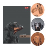 Zeszyt A5 60 kartek w kratkę z marginesem DOGGY MOODS pieski Unipap 1szt