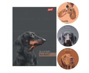 Zeszyt A5 60 kartek w kratkę z marginesem DOGGY MOODS pieski Unipap 1szt